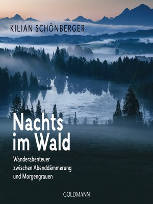 cover image of Nachts im Wald